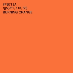 #FB713A - Burning Orange Color Image